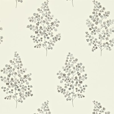 Sanderson Tapet Angel Ferns Charcoal