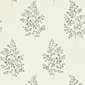 Sanderson Tapet Angel Ferns Charcoal