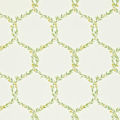 Sanderson Tapet Fleur Trellis Emerald/Primrose