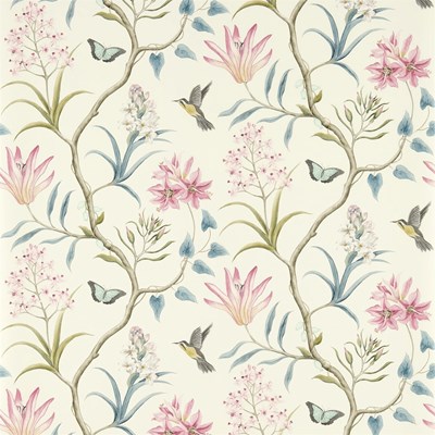 Sanderson Tapet Clementine Dusky Pink