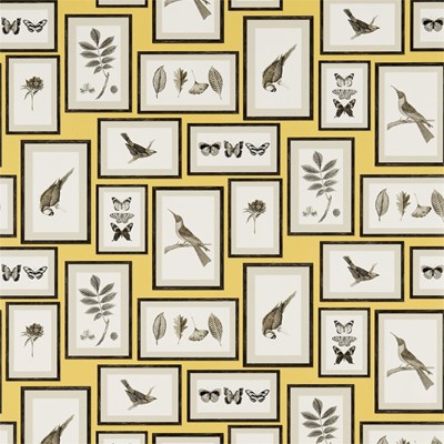 Sanderson Tapet Picture Gallery Yellow/Charcoal