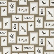 Sanderson Tapet Picture Gallery Taupe/Sepia