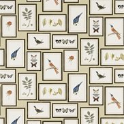Sanderson Tapet Picture Gallery Sand/Multi