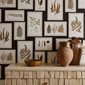 Sanderson Tapet Fern Gallery Ivory/Green