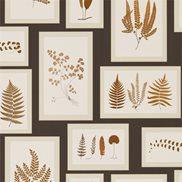 Sanderson Tapet Fern Gallery Charcoal/Sepia