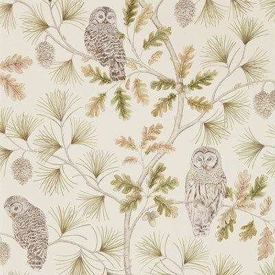Sanderson Tapet Owlswick Briarwood
