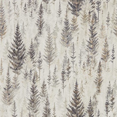 Sanderson Tapet Juniper Pine Elder Bark