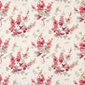 Sanderson Tyg Delphinums Coral