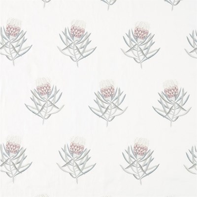Sanderson Tyg Protea Flower Porcelain/Orchid