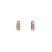 Pipol Örhänge Carissa Golden Pink