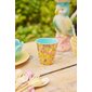 Rice Mugg Daffodils Medium