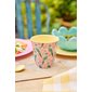 Rice Mugg Exotic Bird Medium