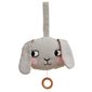Roommate Speldosa Bunny