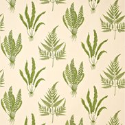 Sanderson Tyg Woodland Ferns Green