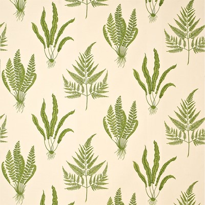 Sanderson Tyg Woodland Ferns Green