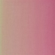 Designers Guild Tyg Padua Blossom