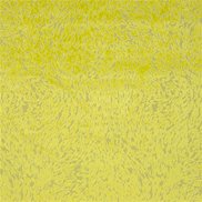 Designers Guild Tyg Torlonia Chartreuse