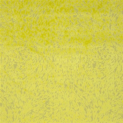 Designers Guild Tyg Torlonia Chartreuse