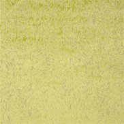 Designers Guild Tyg Torlonia Acacia