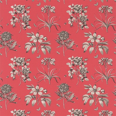Sanderson Tyg Etchings & Roses Coral/Metallic