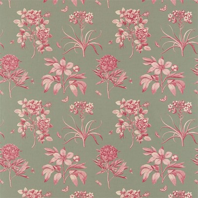 Sanderson Tyg Etchings & Roses Pewter