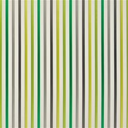 Designers Guild Tyg Ventaglio Lime