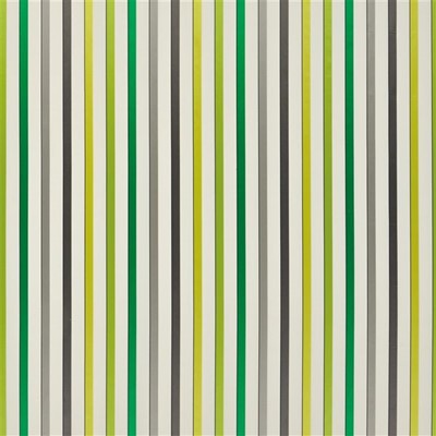 Designers Guild Tyg Ventaglio Lime