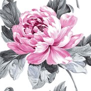 Designers Guild Tyg Sofienberg Magenta