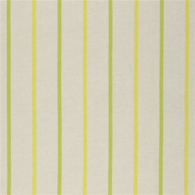 Designers Guild Tyg Brera Nastro Lime