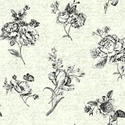 Intrade Tapet Picture Perfect