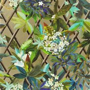 Christian Lacroix Tapet Canopy Or