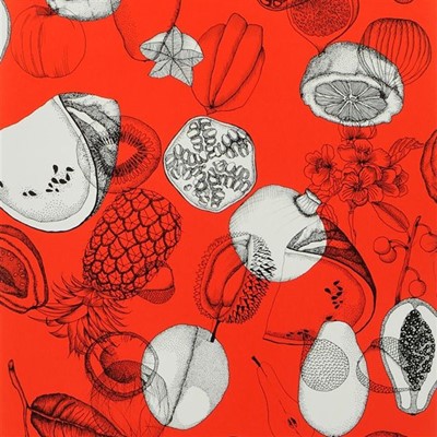Christian Lacroix Tapet Parati Papaye