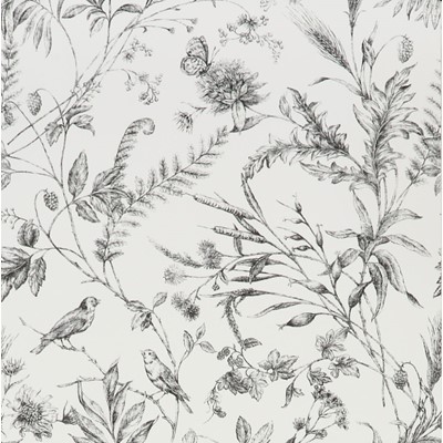 Ralph Lauren Tapet Fern Toile Etched Black