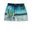 Molo Badshorts 92-140 Surf Niko