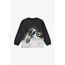 Molo Sweatshirt 116-152 Water Wheelie
