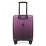 Epic Crate Ex Wildlife 55X40x20 Special Edition