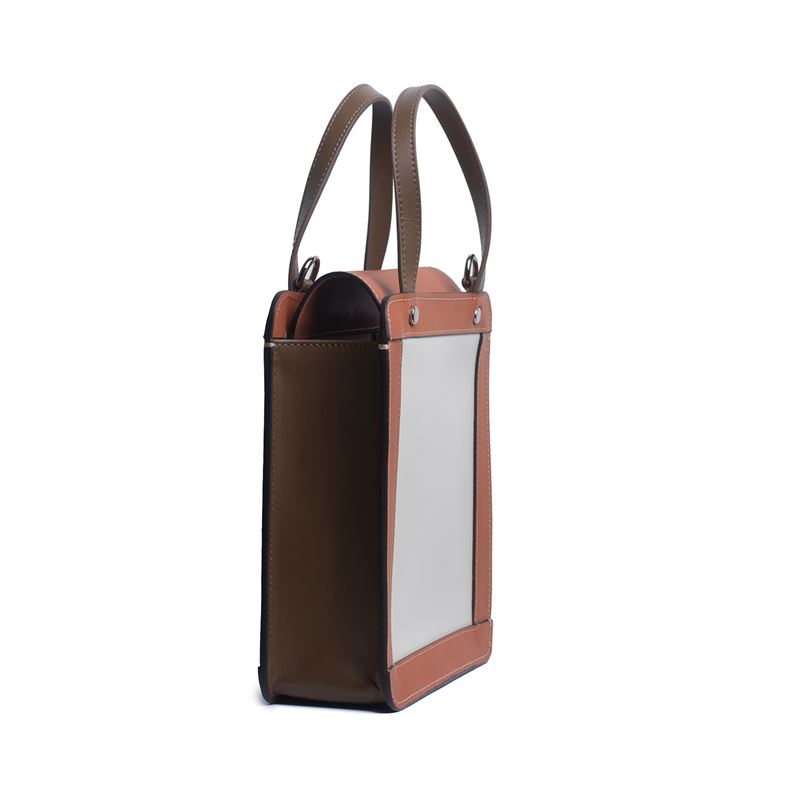 Mini Square Tote Tricolore