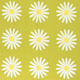 Tissu 145cm Marguerite Lme