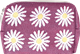 Pochette 12cm Marguerite Violette