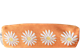 Federtasche Wiesen-Margerite Orange