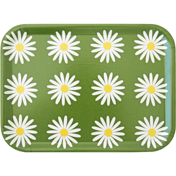 Tablett Wiesen-Margerite Klein Grün