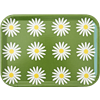 Tablett Wiesen-Margerite Klein Grün