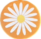 Coussin de siège Marguerite Orange