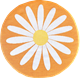 Seat cushion Daisy Orange