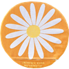 Stolsdyna Prästkrage Orange