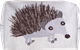 Pouch 18cm Hedgehog White