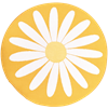Coussin de siège Marguerite Jaune