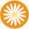 Grytunderlägg Prästkrage Orange