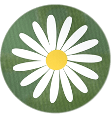Dessous de Plat Marguerite Vert