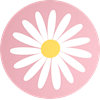Grytunderlägg Prästkrage Rosa